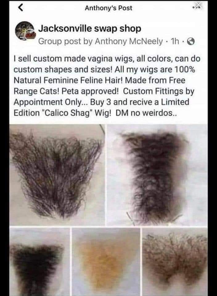 LitehouseKraken's tweet image. Izzy buys three to get the calico shag

#cjizzy #cjizzyweek