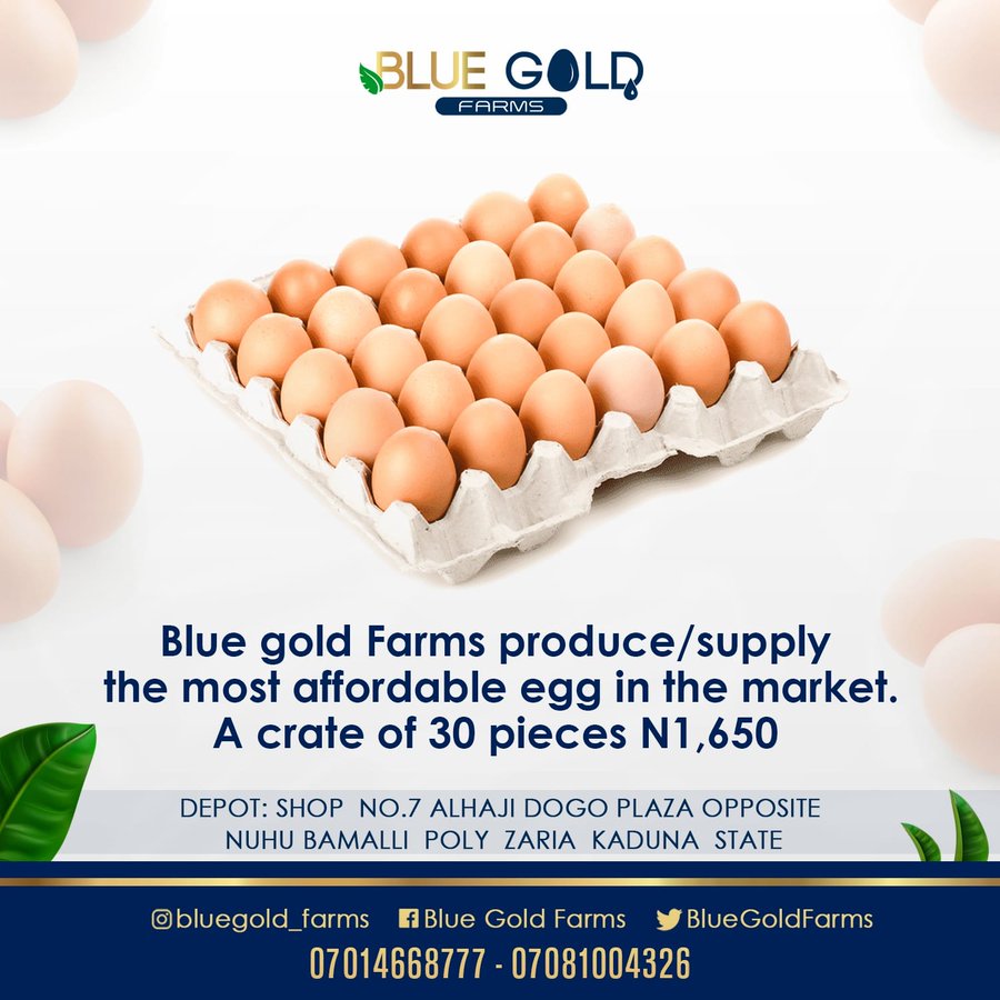 Eggs are available at N1,650 per crate.
