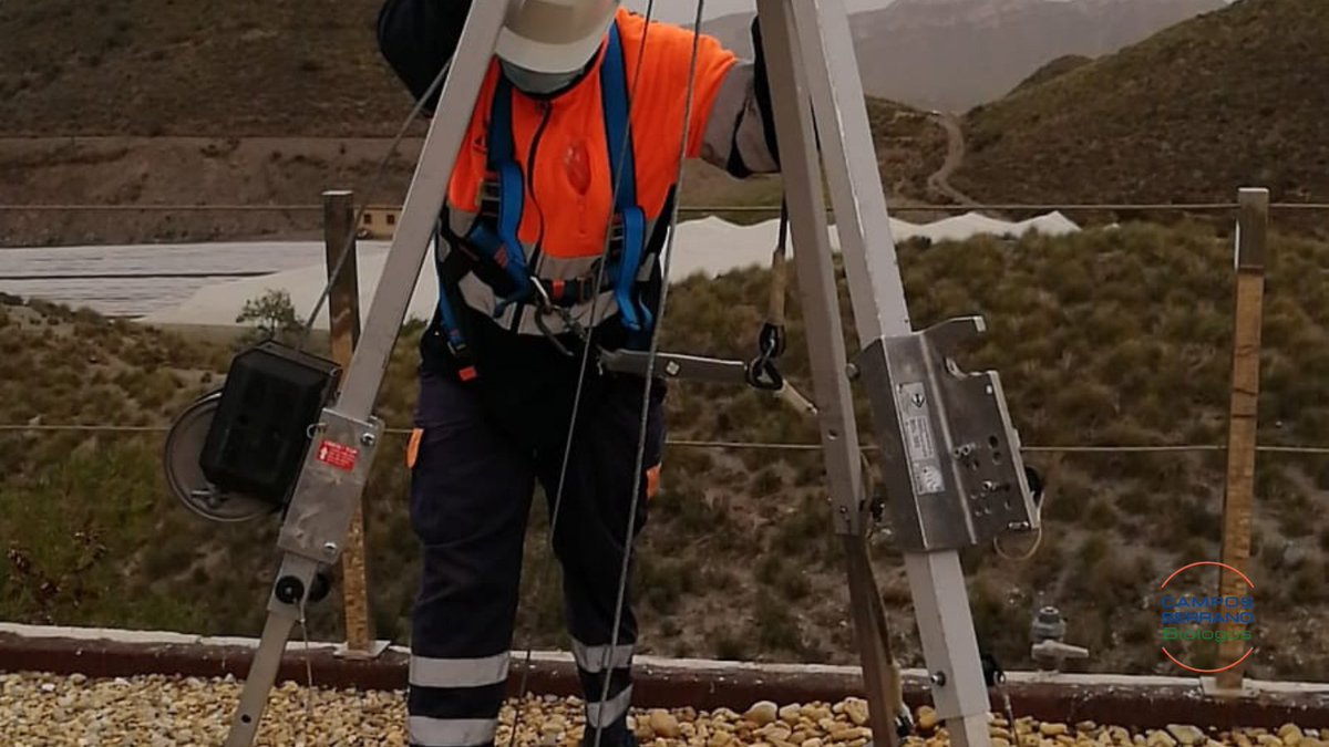 Lo primero es la seguridad de los trabajadores ✅

Aplicamos estrictas medidas de prevención de riesgos laborales para la limpieza y desinfección de depósitos de agua 💧

#SeguridadLaboral #ExpertosEnPlagas #Plagas #CalidadDelAgua #SaludAmbiental