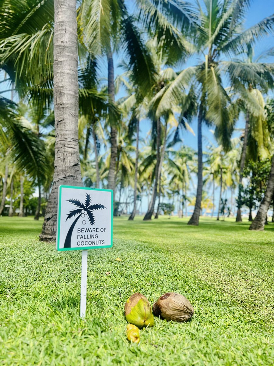 Anett Numa tweet media