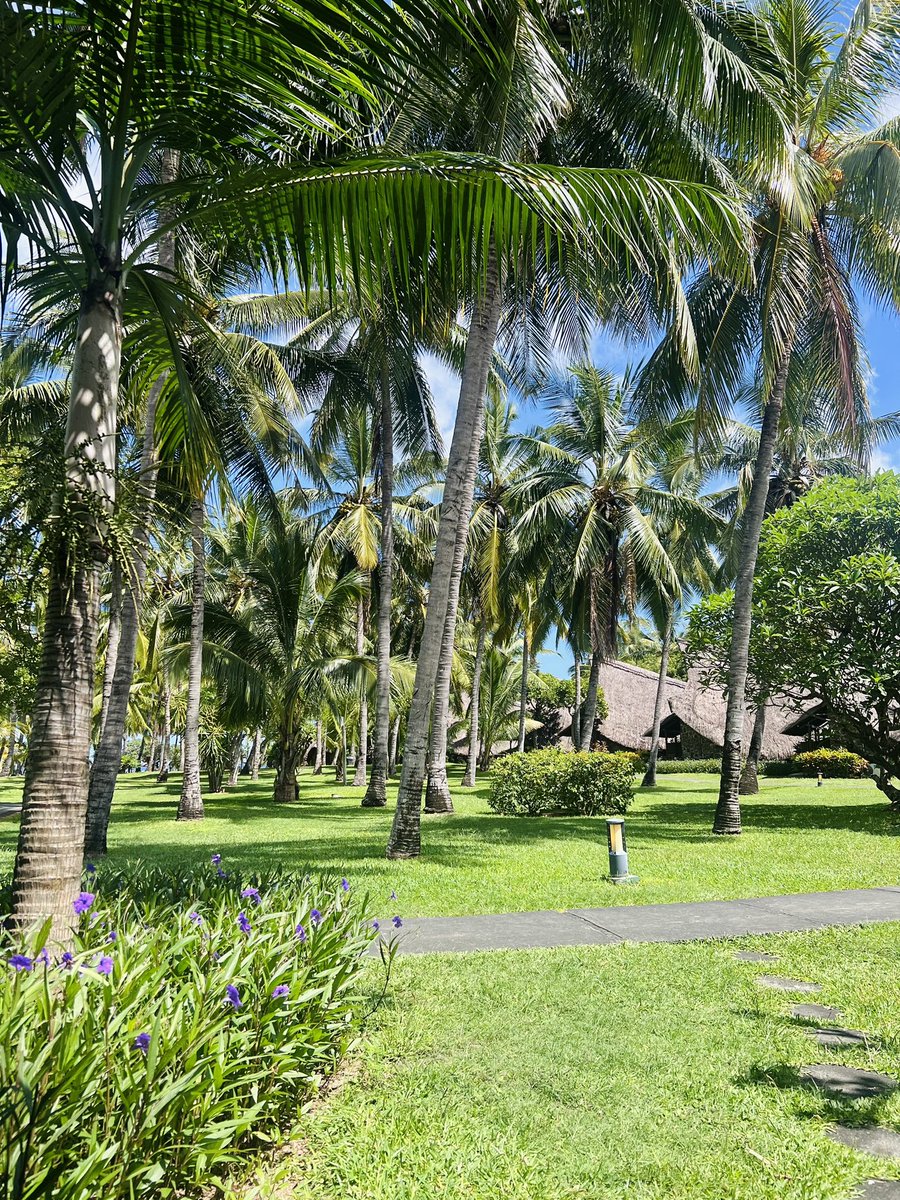 Anett Numa tweet media