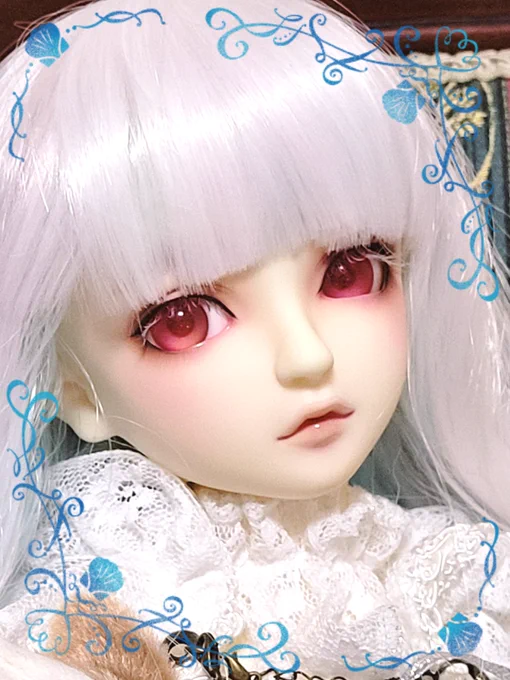 うちのこかわいい 
