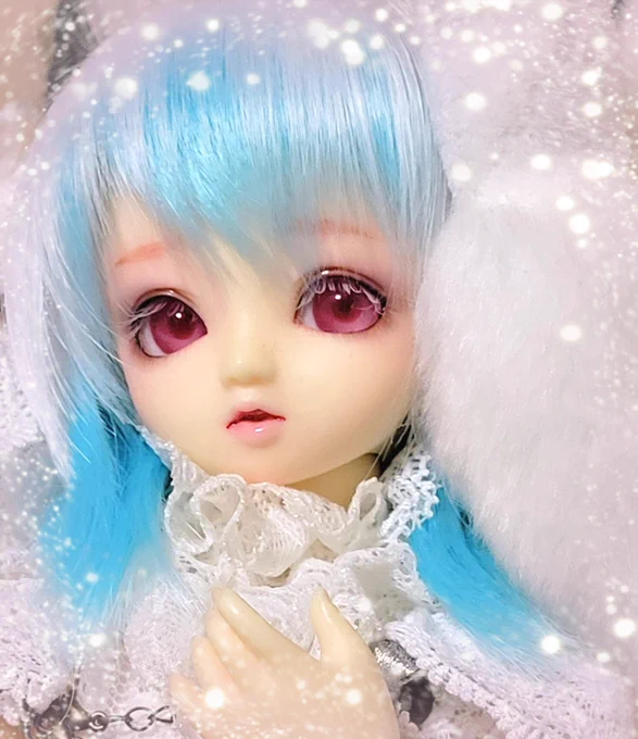 うちのこかわいい 