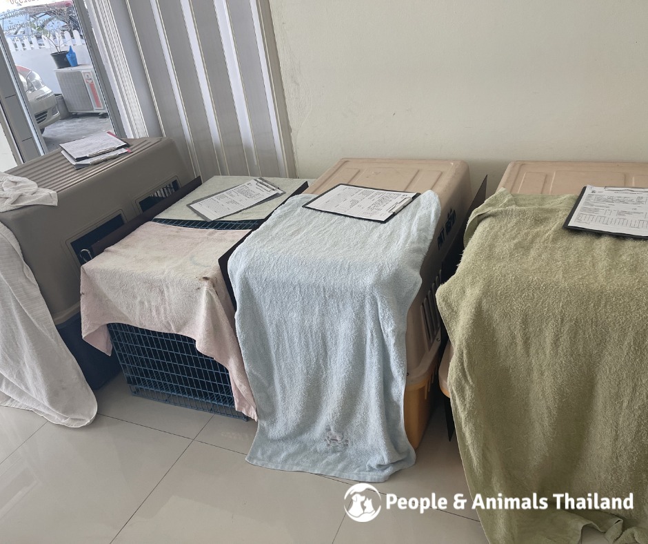 Wildlife Friends Foundation Thailand tweet media