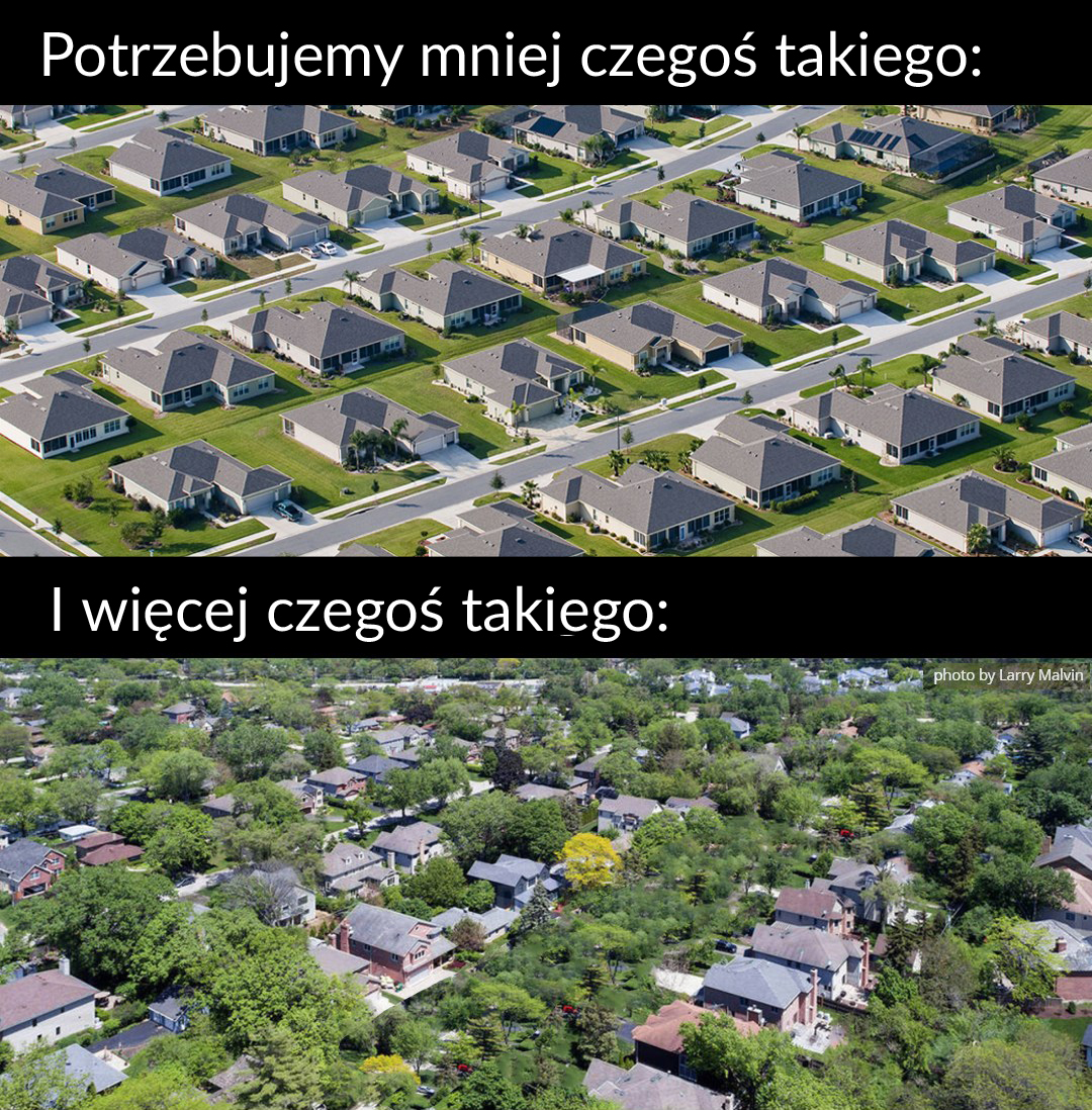 totylkoteoria's tweet photo. https://t.co/9T9l3NfKhE