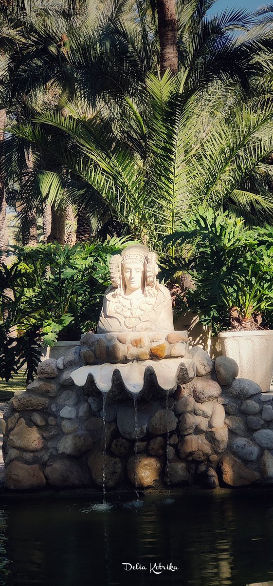 delia_kotrika's tweet image. La Dama, está al sol 😎 se quiere poner morena para el verano ☺️🤣🤣
-Jardin Botánico, Huerto del Cura -
#Eltx  🌴 #Elche
#Alacant