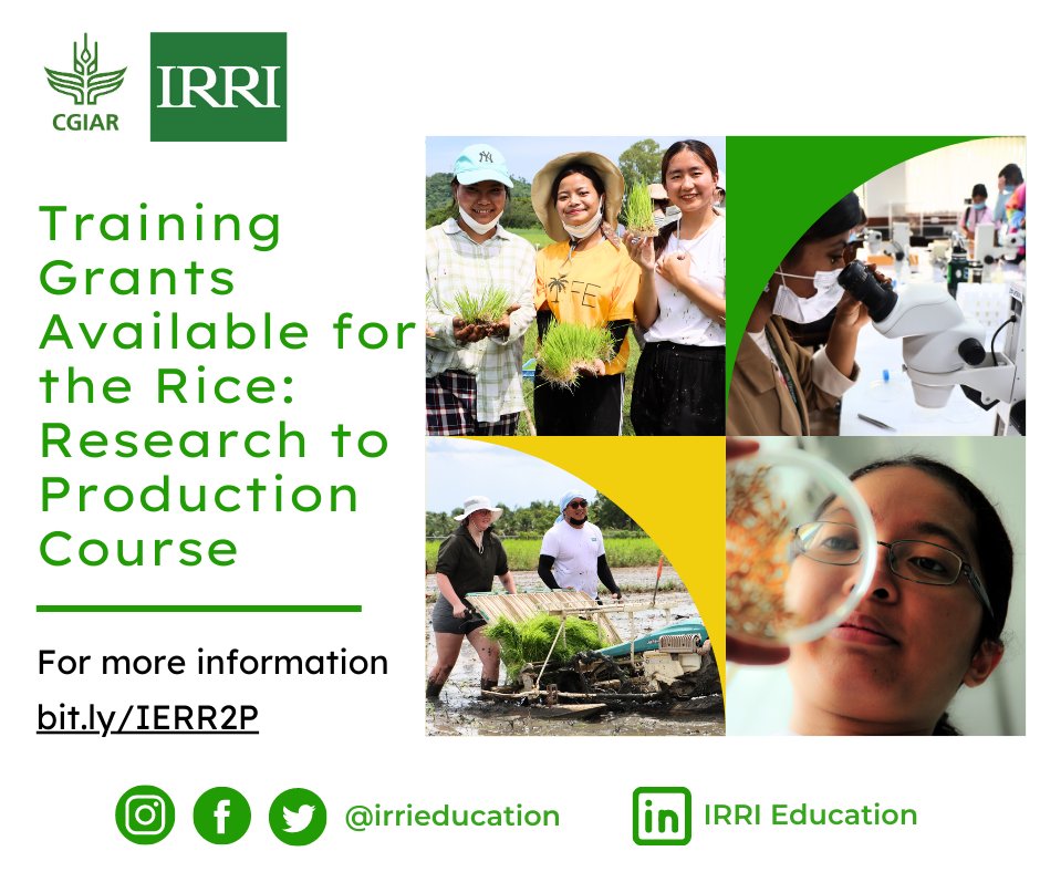 irrieducation's tweet photo. Training Grants are now available for those who wish to join the Rice: Research to Production Course scheduled on 29 May - 16 June.

For more information on the course: https://t.co/9VBkC3bMHD  

For inquiries, email us at education@irri.org

#TrainingGrant #Scholarship https://t.co/Yk9PorAGqF