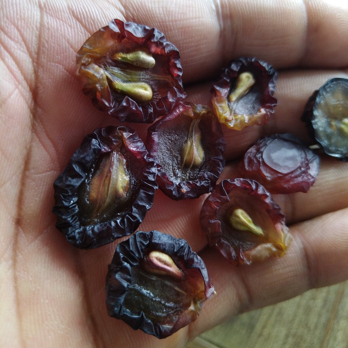 SabzerAzoh's tweet photo. BENEFITS OF SUN DRIED GRAPES🍇

Free radicals when paired with electrons in our body can cause damage to cells, proteins, and DNA. Dry grapes which are rich in catechins can get rid of these free radicals and improve the overall organ health in our body... https://t.co/mGum5ki5p2