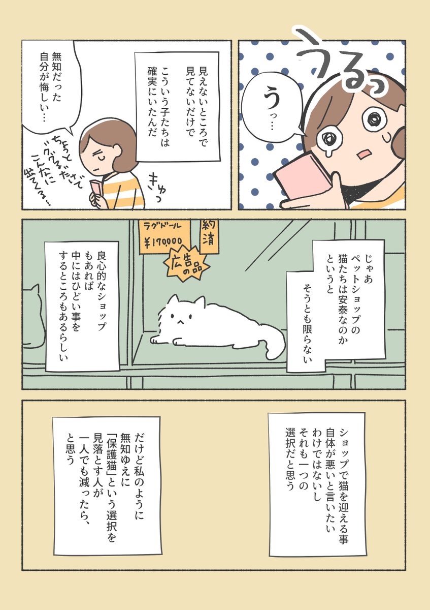 保護猫と暮らすまでのお話(2/12) 