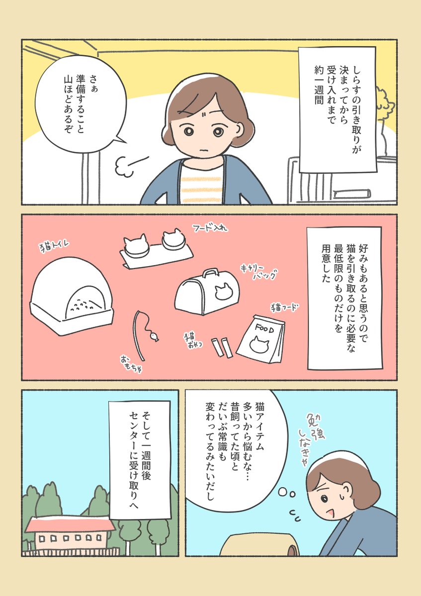 保護猫と暮らすまでのお話(11/12) 