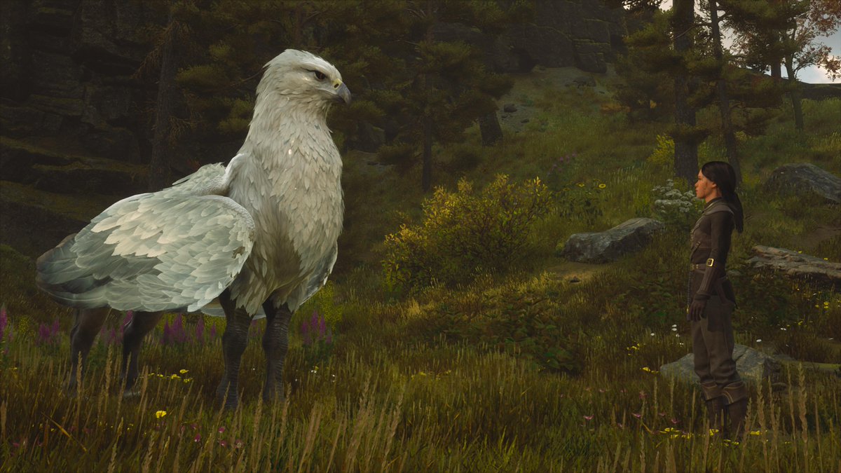 #PS5Share, #HogwartsLegacy