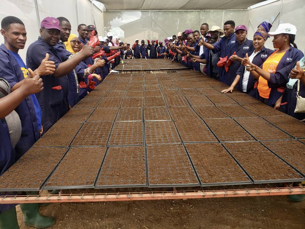 WizaraKilimo's tweet photo. Vijana wa BBT wakiwa katika kituo atamizi cha Bihawana jijini Dodoma, wakiendelea na mafunzo ya uandaaji na uzalishaji wa miche! Kazi imeanza! 
#BBTKilimo
@HusseinBashe @AnthonyMavunde @TZMsemajiMkuu @Eric__Bernard @CarolNdosi https://t.co/lPS6XwKzoL