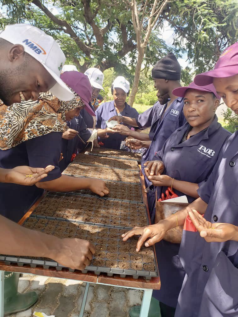 Vijana wa BBT wakiwa katika kituo atamizi cha Bihawana jijini Dodoma, wakiendelea na mafunzo ya uandaaji na uzalishaji wa miche! Kazi imeanza! 
#BBTKilimo
<a href="/HusseinBashe/">Hussein M Bashe</a> <a href="/AnthonyMavunde/">Anthony Mavunde</a> <a href="/TZMsemajiMkuu/">Msemaji Mkuu wa Serikali</a> <a href="/Eric__Bernard/">MR BEN</a> <a href="/CarolNdosi/">CarolNdosi</a>