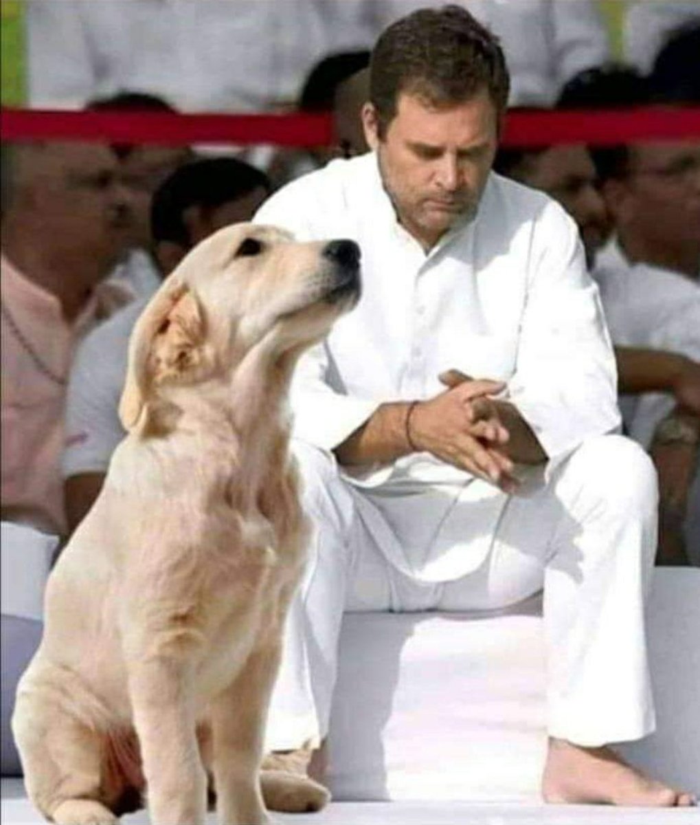 मालिक  !
.
दिल छोटा ना करो,  एक बार और माफी मांग लेना  !

पहले भी " चौकीदार चोर है " और " राफेल " मुद्दे पे सुप्रीम कोर्ट में , बिना शर्त " माफी " मांगे ही हो  !

और मालिक ,  ये सुप्रिया, पवन खैरा और जयराम रमेश से थोड़ा दूर ही रहो  !
.
# माफीवीर 
😁😁😁😁
