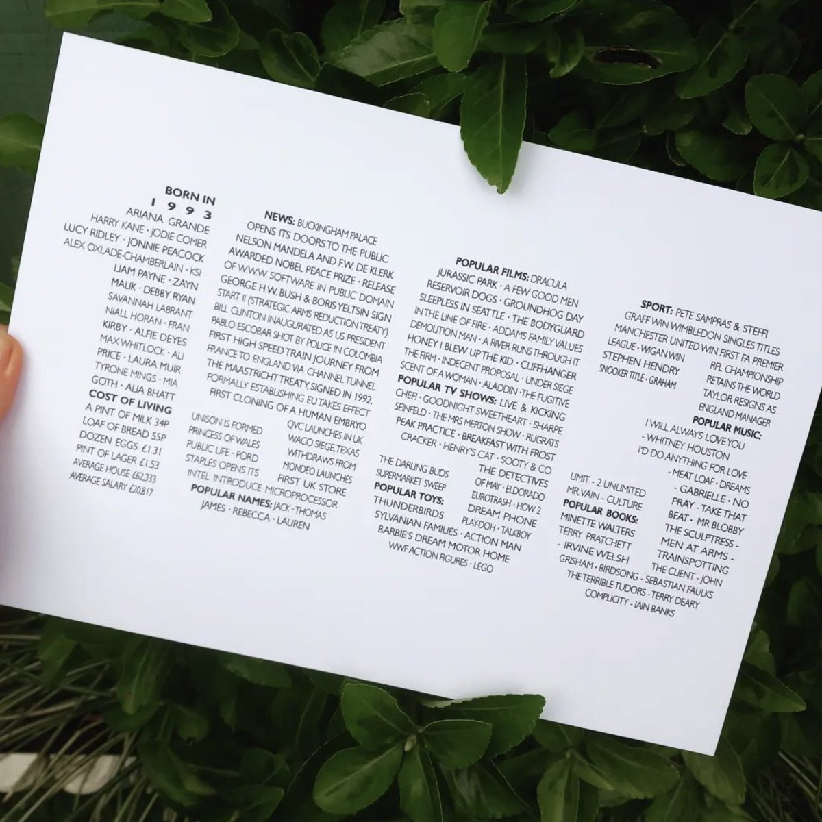 Dotti Lee tweet media