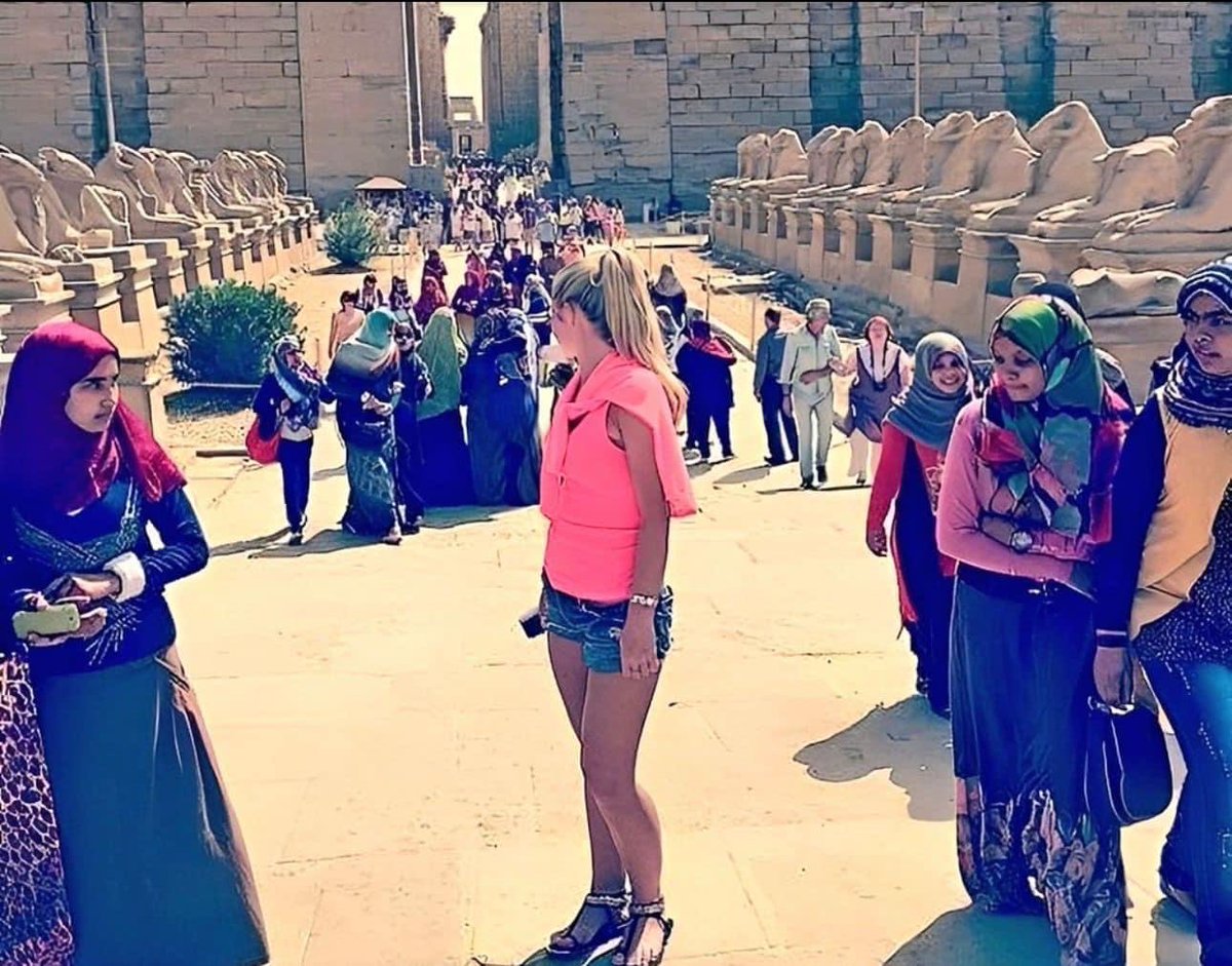 HansDampf tweet media