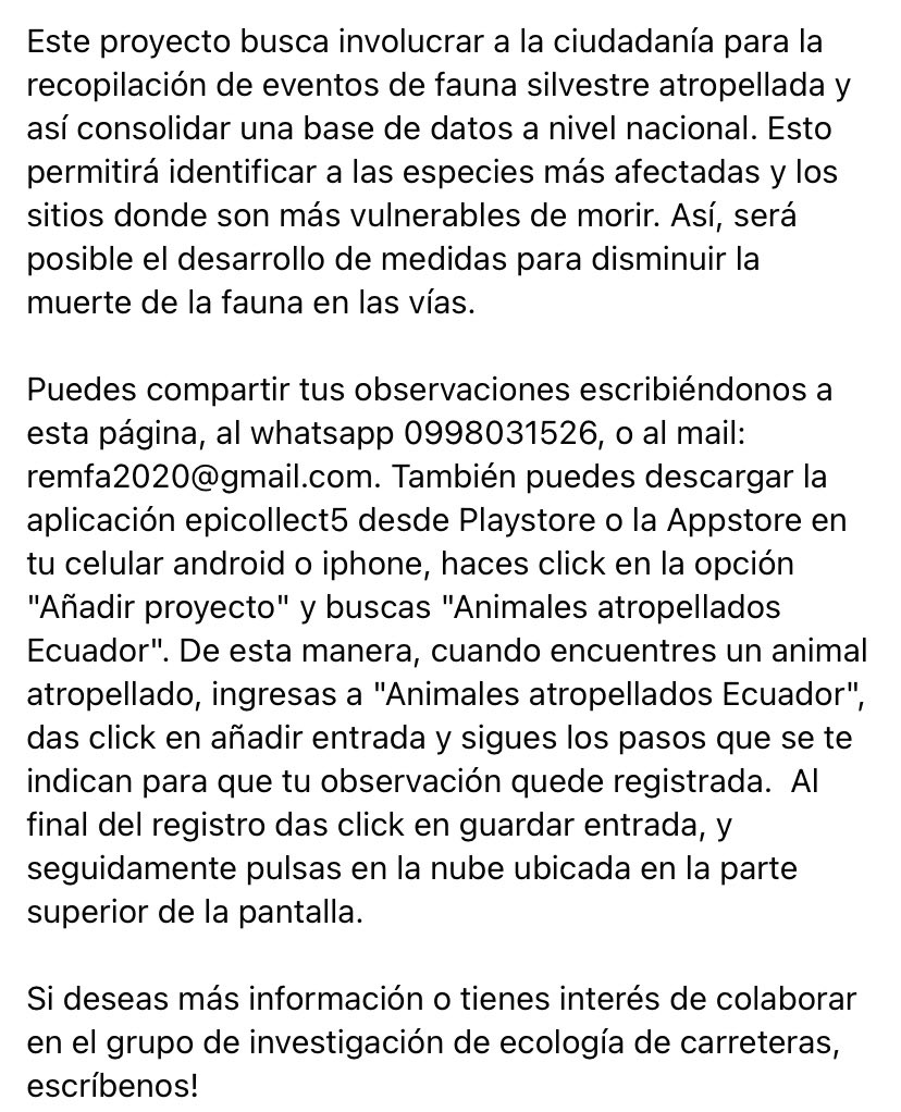 Remfa_Ec's tweet image. Sé colaborador activo de la REMFA compartiendo reportes de fauna atropellada al whatsapp 0998031526. Con tu ayuda podremos identificar áreas y especies que necesitan atención para el desarrollo de medidas que reduzcan la mortalidad en las vías. Para más información, escríbenos!