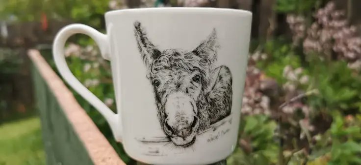 Rachel Dubber. Nature Inspired Giftware. Who doesn’t love an Irish donkey? I bought a mug from Rachel this year and it cheers me up every time I see it. I love the way Rachel packages her orders and puts a little card in too. racheldubber.com/shop-online
#heartofireland