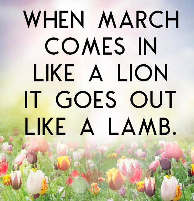 🛵🪑🦁 Looking for mobility aids to tame the March weather? Parkgate Mobility has got you covered! Our scooters and rise &amp; recline chairs will keep you comfortable and moving. Plus, our fantastic staff will make sure you get the perfect fit. Come see us today!