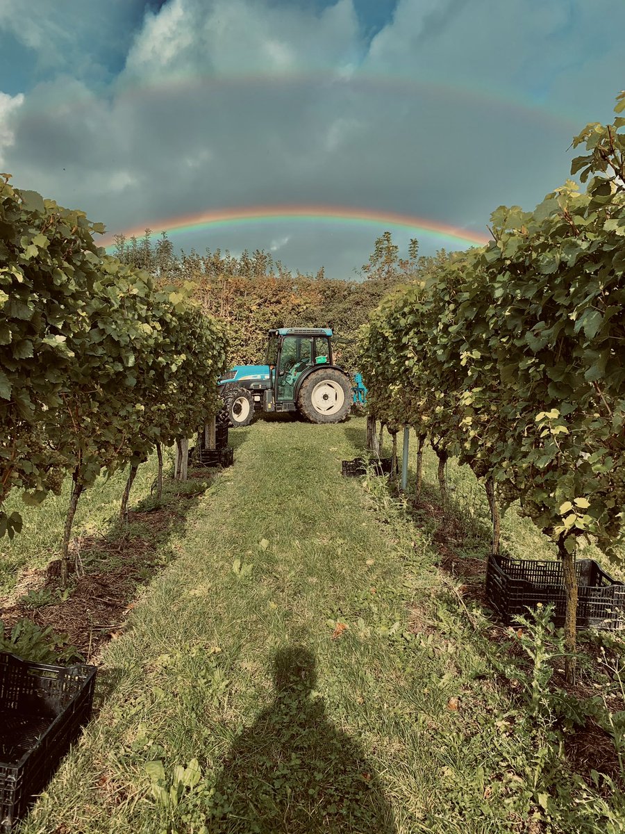 A throwback to an incredible picture taken as the 2020 harvest neared the end at Dorset’s award winning <a href="/langhamwinery/">Langham Wine Estate</a> 🍾

It was an incredible insight into what goes into the juice we all know and love, albeit back breaking work!🍇