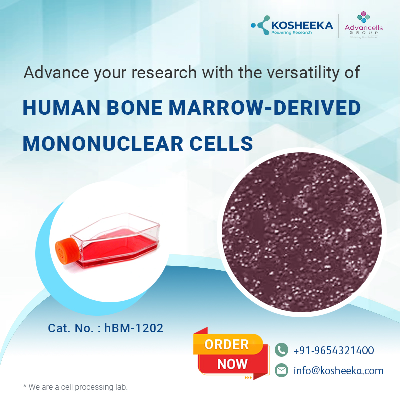 kosheeka's tweet photo. Expand your scientific horizons with the diversity of human bone marrow-derived mononuclear cells.
Visit: https://t.co/NA8VC7Kawa
#cellculture #cellbiology #biotech #biotechnologie #research #scientist #primarycells #laboratory #cells https://t.co/EFDWOpuuRy
