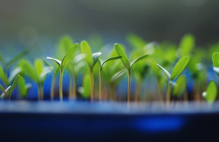 Har du en nytänkande eller konkret projektidé som kan bidra till en hållbar utveckling av Stockholmsregionen? Ansök om stöd för hållbar regional utveckling. bit.ly/3naMXQC