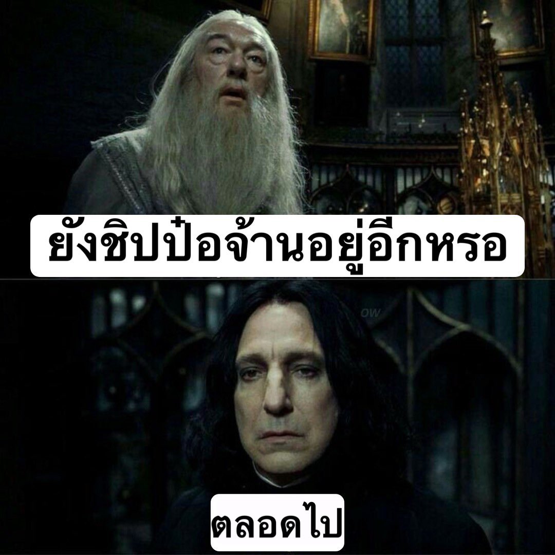 Yizhan53193123's tweet photo. จนสิ้นแสง😂 #ป๋อจ้าน https://t.co/bzTX8bsGGb