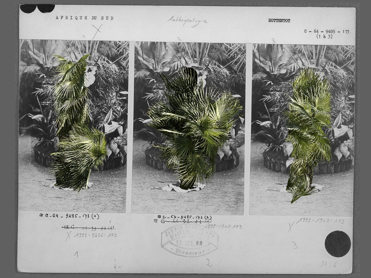 "Exercicis mínims per a un Jardí d'hivern"  d'#InésMolina és una recerca sobre la relació entre la percepció de les imatges i la narració de la història.

🤝 En el marc de <a href="/FestivalMirades/">Festival Mirades Empordà</a>. 
📍A partir d'aquest dissabte 24/03 al PalauSolterra.
🔗bit.ly/3JDy1C3