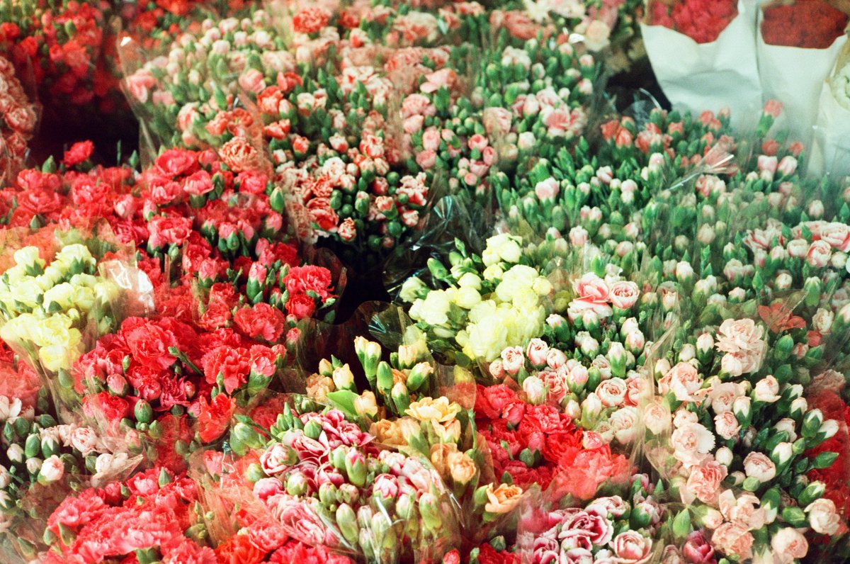 tlcx_pn's tweet photo. ปากคลองตลาด
`#yashicaelectro35 https://t.co/PFVoH2GNI1