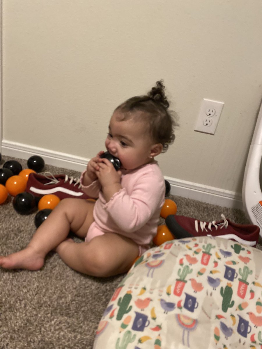 knikkibernard's tweet photo. Exactly a year ago today my precious baby was born ❤️ I love seeing her grow and explore ! HAPPY 1st BIRTHDAY https://t.co/F6pDYUzsMq
