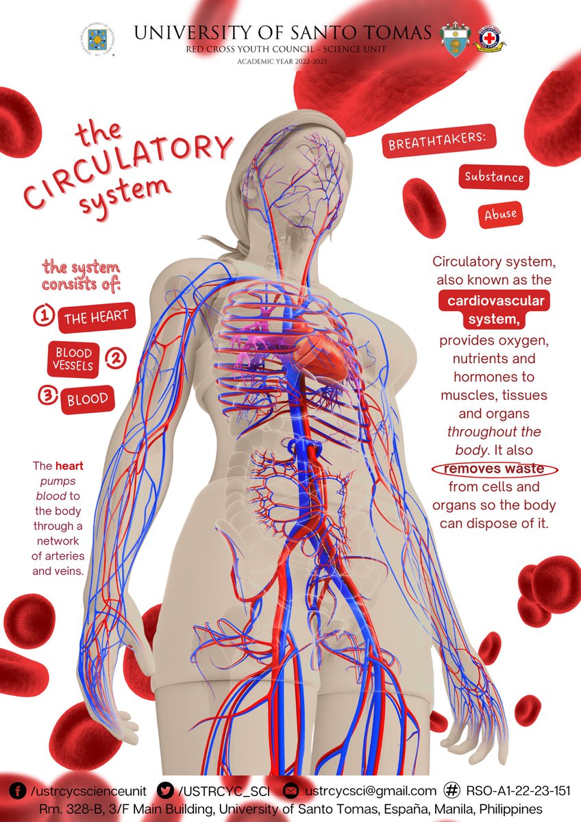 USTRCYC_SCI's tweet photo. Lub-dub, lub-dub… Have you ever gotten your heart broken? 💔 Don’t let it happen again ❌, keep your heart healthy, and don’t let it burn to ashes.

Get your heart pumping 🫀 and your blood flowing 🩸 as we talk about the circulatory system and the effects smoking 🚬 has on it. https://t.co/jAdf1YaHam