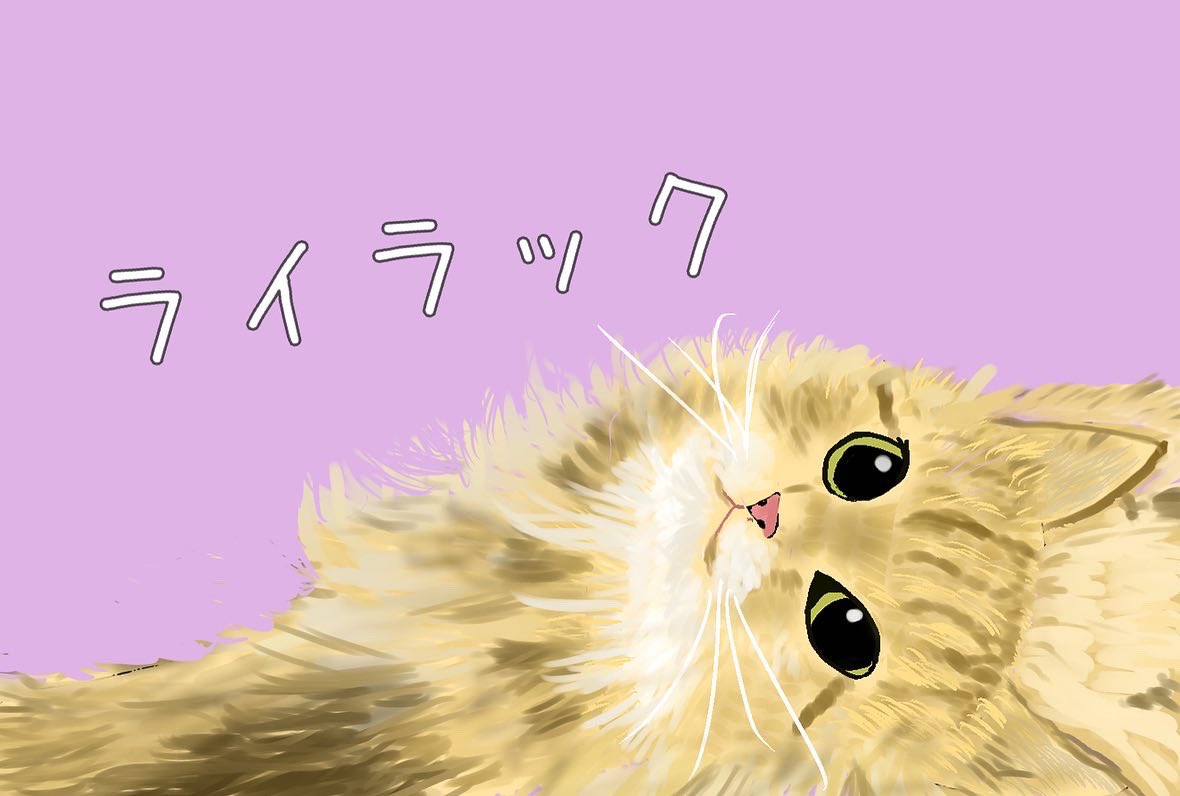 ぽっちゃり猫のサラさん🐱と多頭飼い生活 (@spiral46976108) / Posts / X