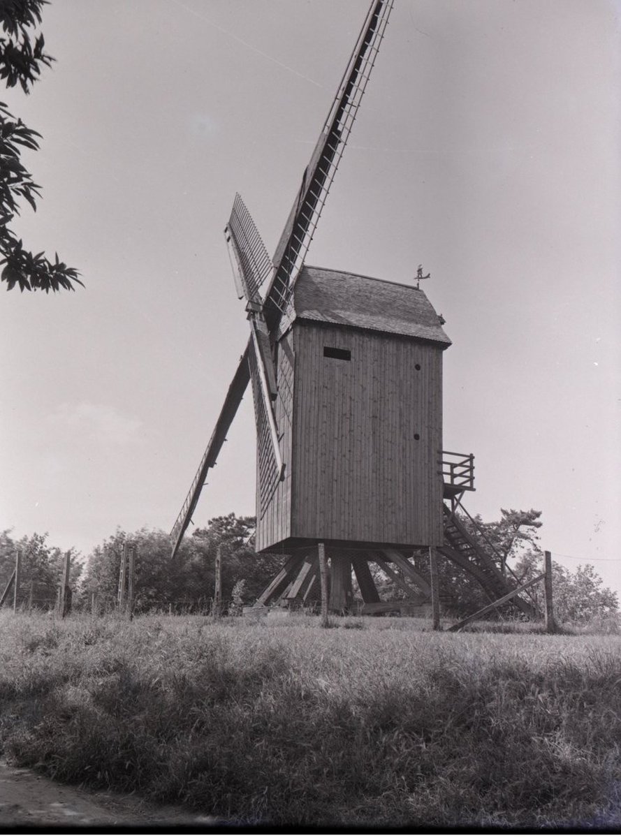 AsMoniqueTeneur's tweet photo. Photographie du Moulin de Cassel, 

Consultable en ligne sur le site Gallica : 
https://t.co/TtRwmDt2iB https://t.co/KmCauIueAU