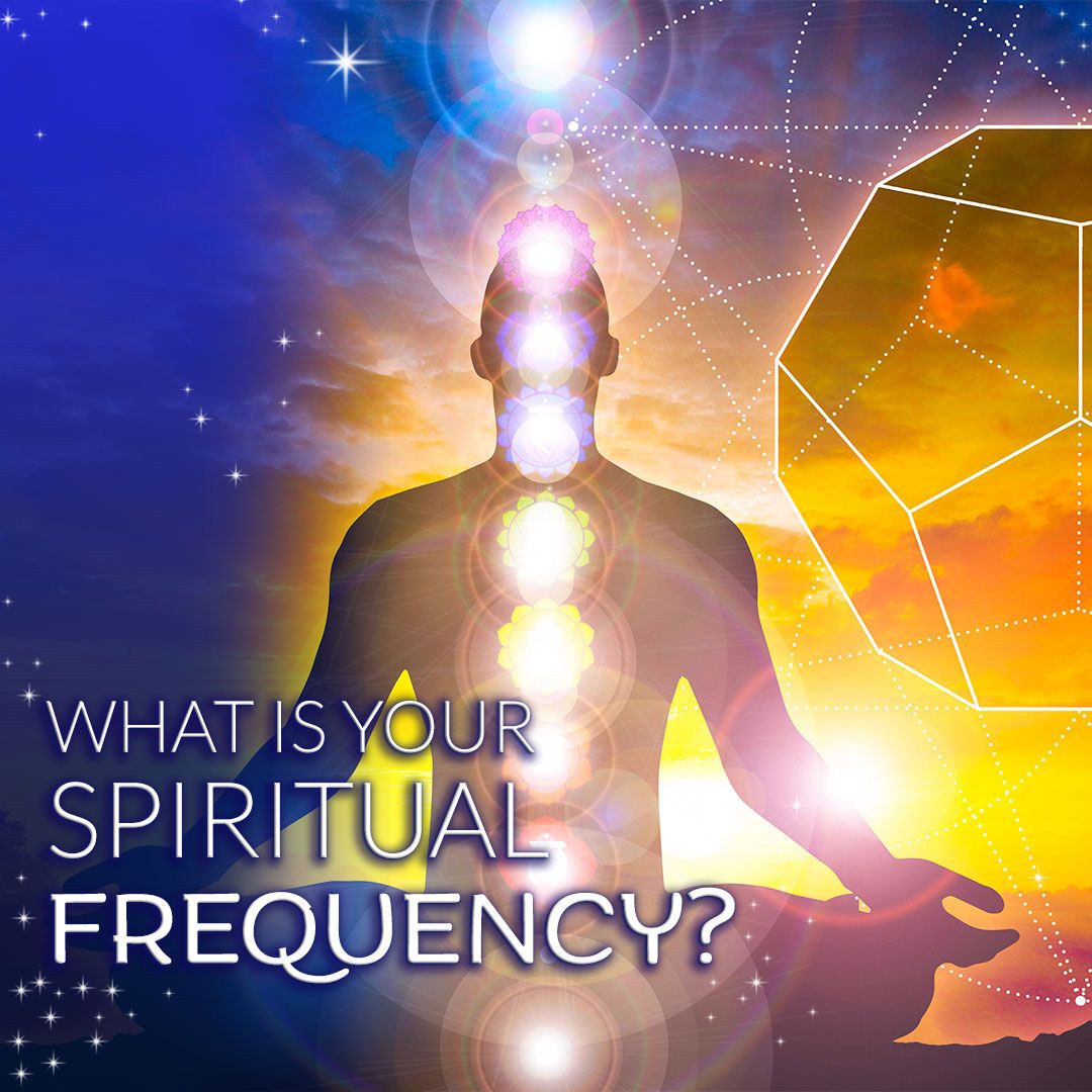 DLMeditations tweet picture