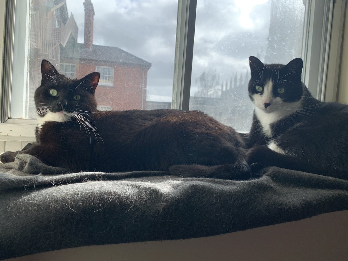 Enjoying the last of the morning ☀️