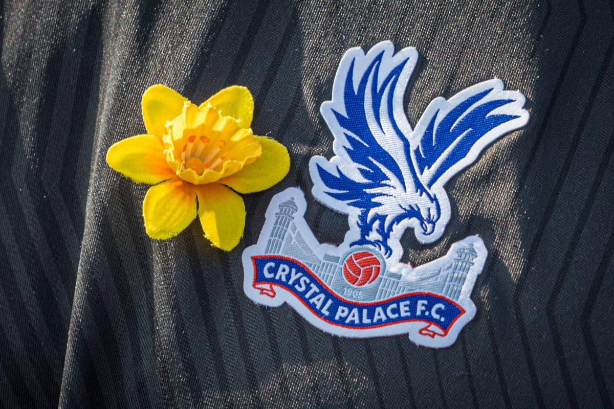Crystal Palace FC DSA tweet media