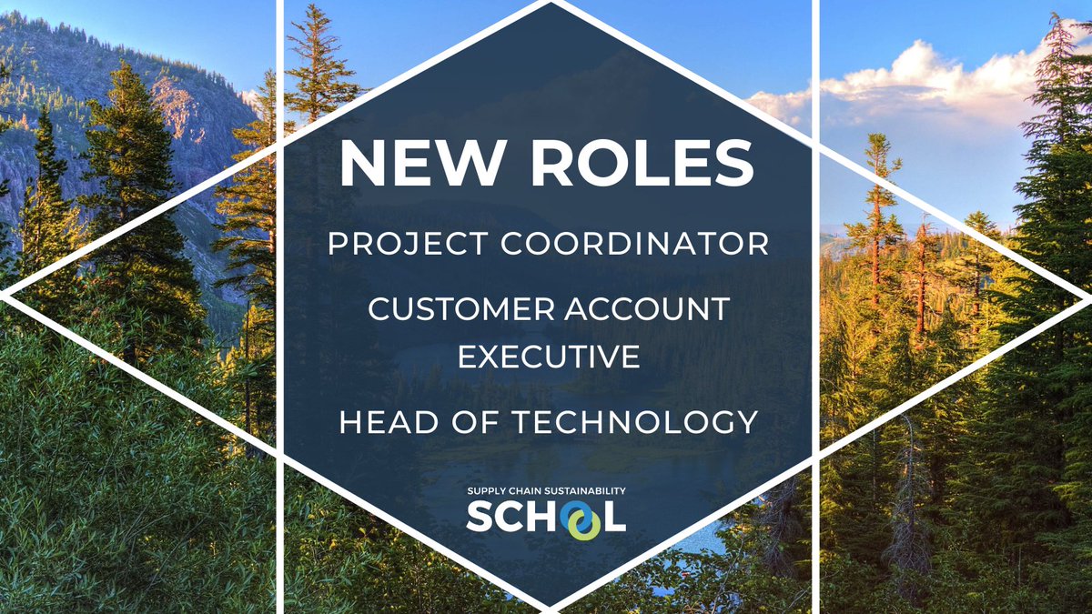 SupplyCSSchool's tweet photo. 🚨 We're #hiring across 3️⃣ different roles to grow our award-winning team.

👉 Project Coordinator
👉 Customer Account Executive
👉 Head of Technology

View all vacancies &amp; apply ▶ https://t.co/uqV1PHXbbK

#UKjobs #GreenJobs #RemoteJobs #Recruiting https://t.co/S3eQ0rtRKj