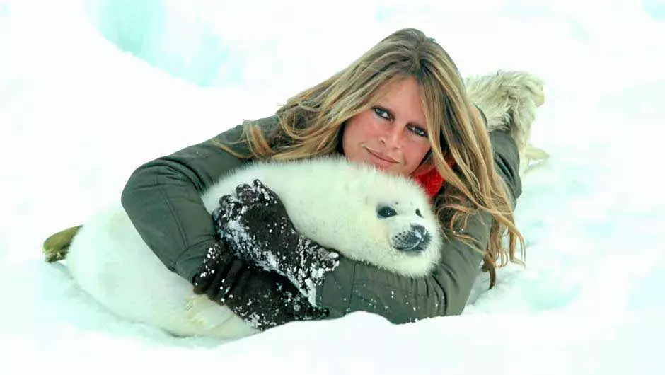 #lafemmeillustredujour
5 avril 1973, Brigitte Bardot annonce dans France Soir mettre fin à sa carrière au cinéma pour se consacrer à la cause animale.
Alertée par Marguerite Yourcenar, son premier combat sera contre la chasse aux bébés phoques au Canada.
#humanité #VivezInspirés