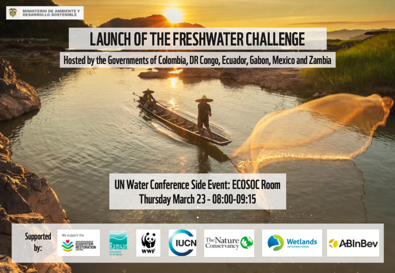 WWFLeadWater's tweet photo. TODAY (March 23) at #UNWaterConference - Launch of largest river &amp; freshwater restoration initiative in history.

14 govts participating along with leaders from @UNBiodiversity @RamsarConv @IUCN_Water @WetlandsInt @UNEP 

Join us at 08:00 in the @UN  ECOSOC Chamber https://t.co/dj6cusgESU