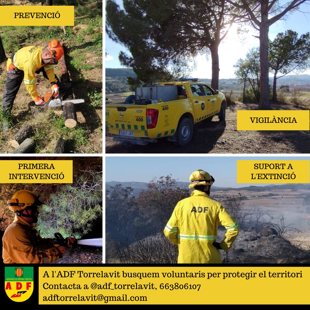 Aj. Torrelavit 🎗 tweet media