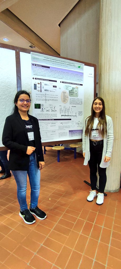 GradSchool: Multiscale clocks tweet media