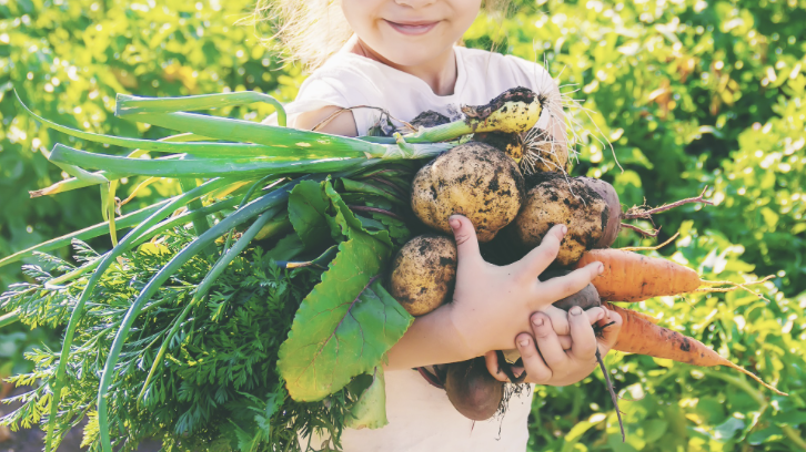 Getzwell_SF's tweet photo. To help prevent pediatric food allergies, start by protecting your child's microbiome! 
 At GetzWell, we prioritize microbiome health. Learn more from San Fransisco pediatrician Dr. Julia Getzelman. https://t.co/oOnshHefOj https://t.co/MQjvWoNt3V