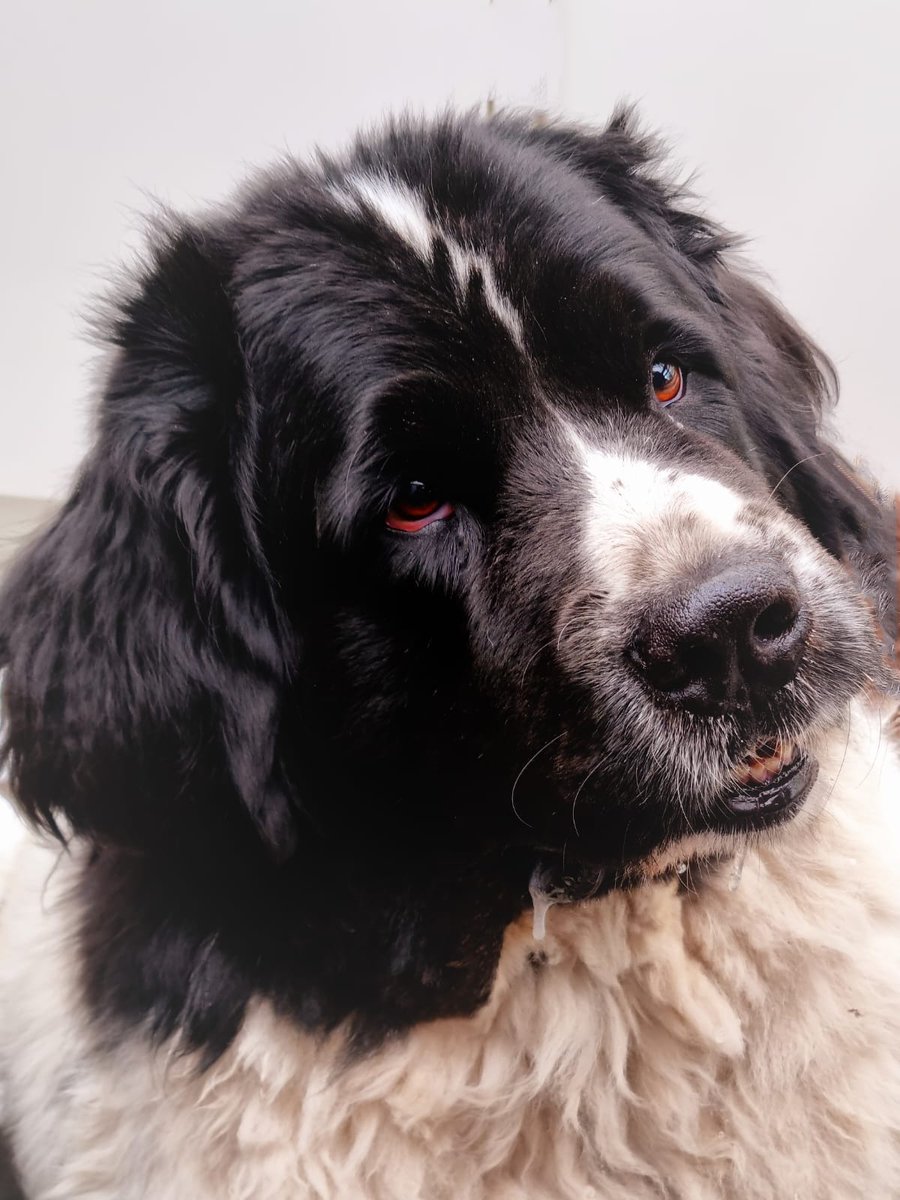 Zak otrb 🌈 tweet media