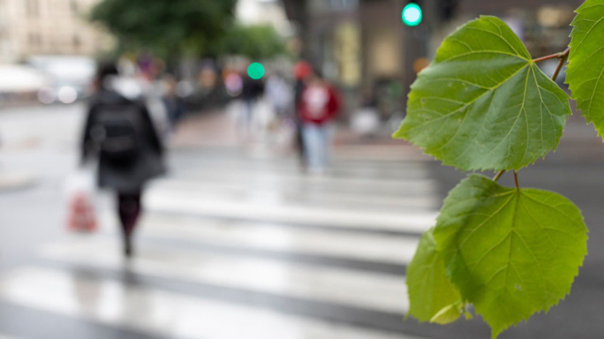 Dubblat anslag för hållbar upphandling. bit.ly/3lAMirk