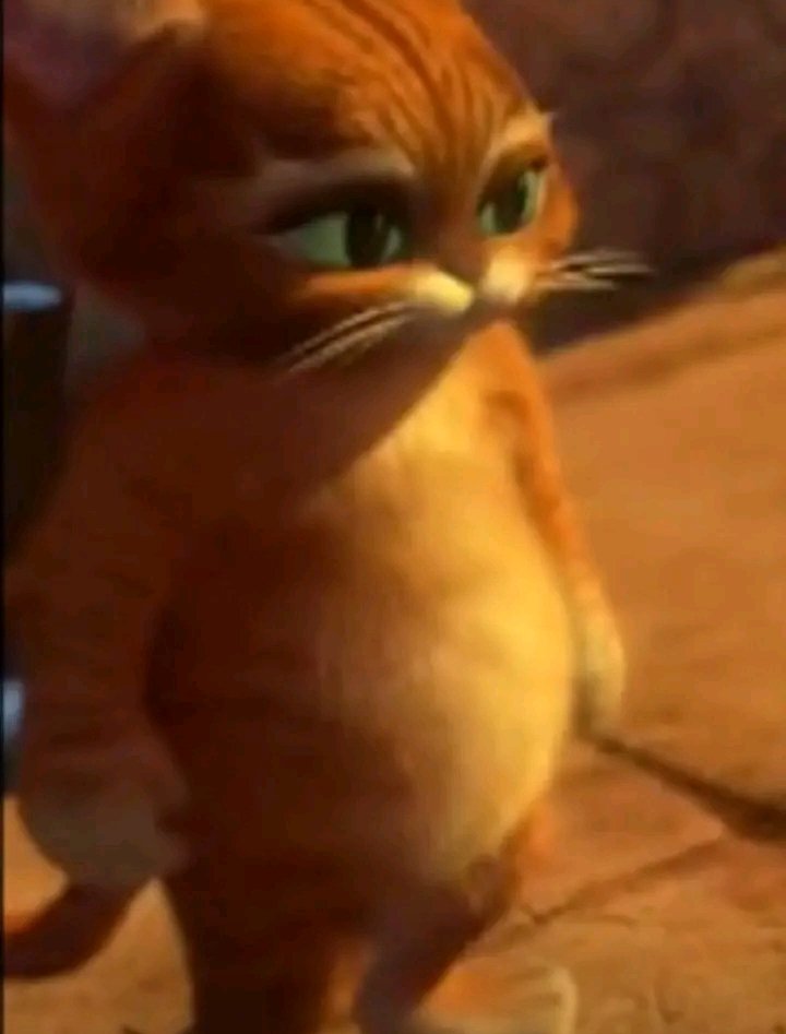 knsginene's tweet photo. this baby picture of puss in boots 😭😭😭😭😭😭😭😭😭😭😭😭 https://t.co/3oSr3zJ4XH