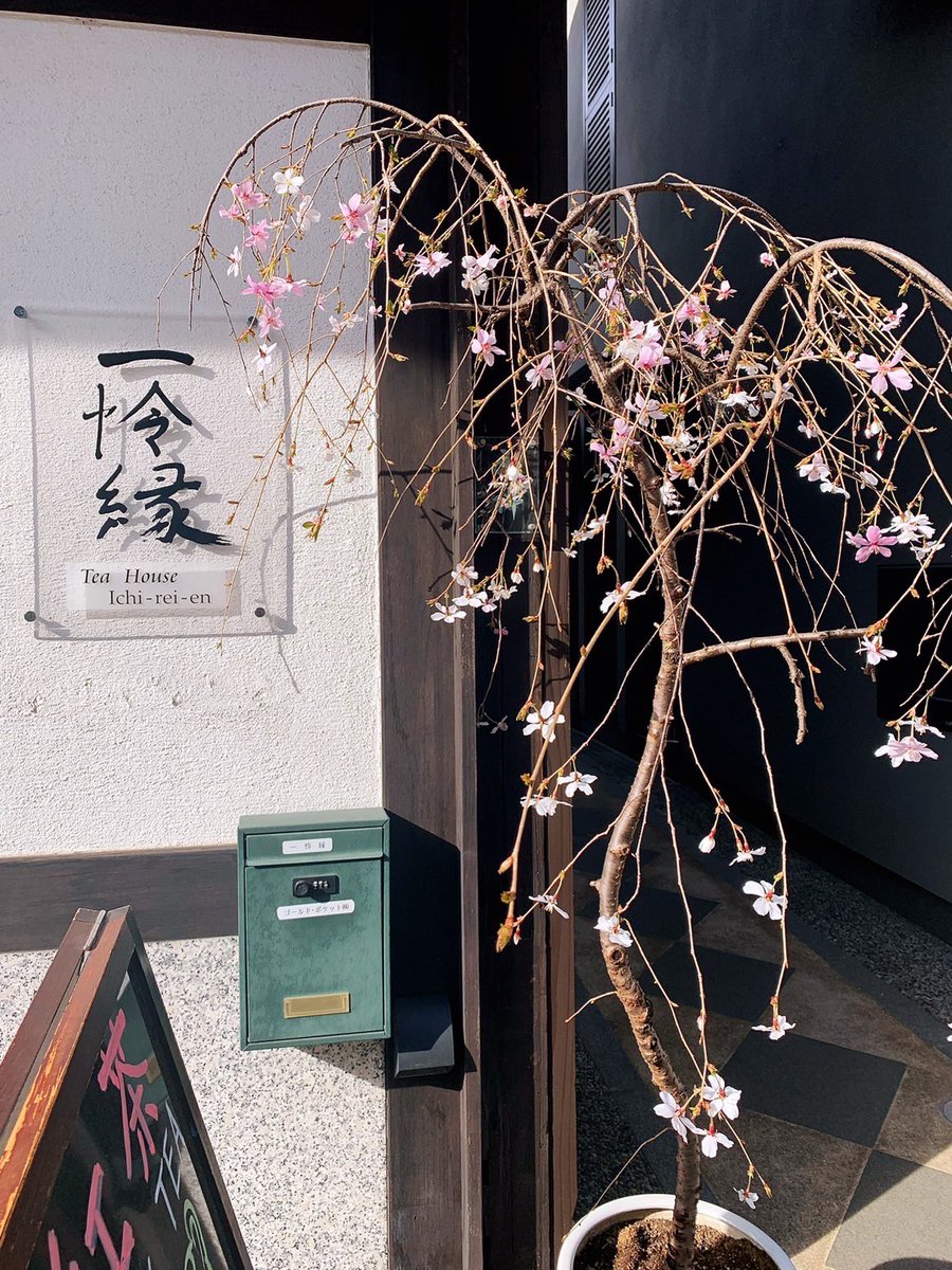 KUTeaBreak's tweet image. 先日、会員数名で北山紅茶館さんと一怜縁さんで紅茶をいただきました✨
カフェ巡りも積極的に行っていきたいですね！