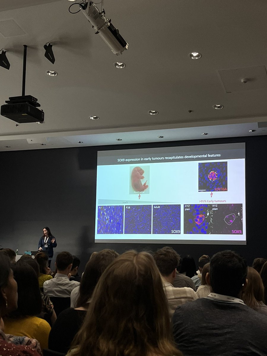 Second day of SY-Stem23 with <a href="/MariaPAlcolea/">Maria Alcolea</a> Really nice talk!
#SYStem2023 #IMBA #VBC