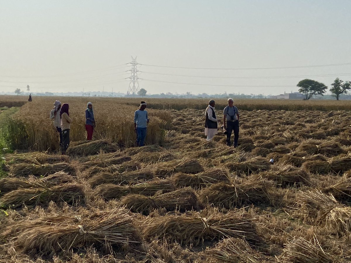 MinouNatascha's tweet photo. Vanochtend op zoek naar vogels op het boerenland in de buurt van Bharatpur. We waren met onze groep een grote attractie en moesten met het halve dorp op de foto 😂
Vanmiddag per eigen bus door naar Jaipur waarvandaan we morgen per trein naar Bera doorrijden. #india #indiaroadtrip https://t.co/5XtkHMHA7V