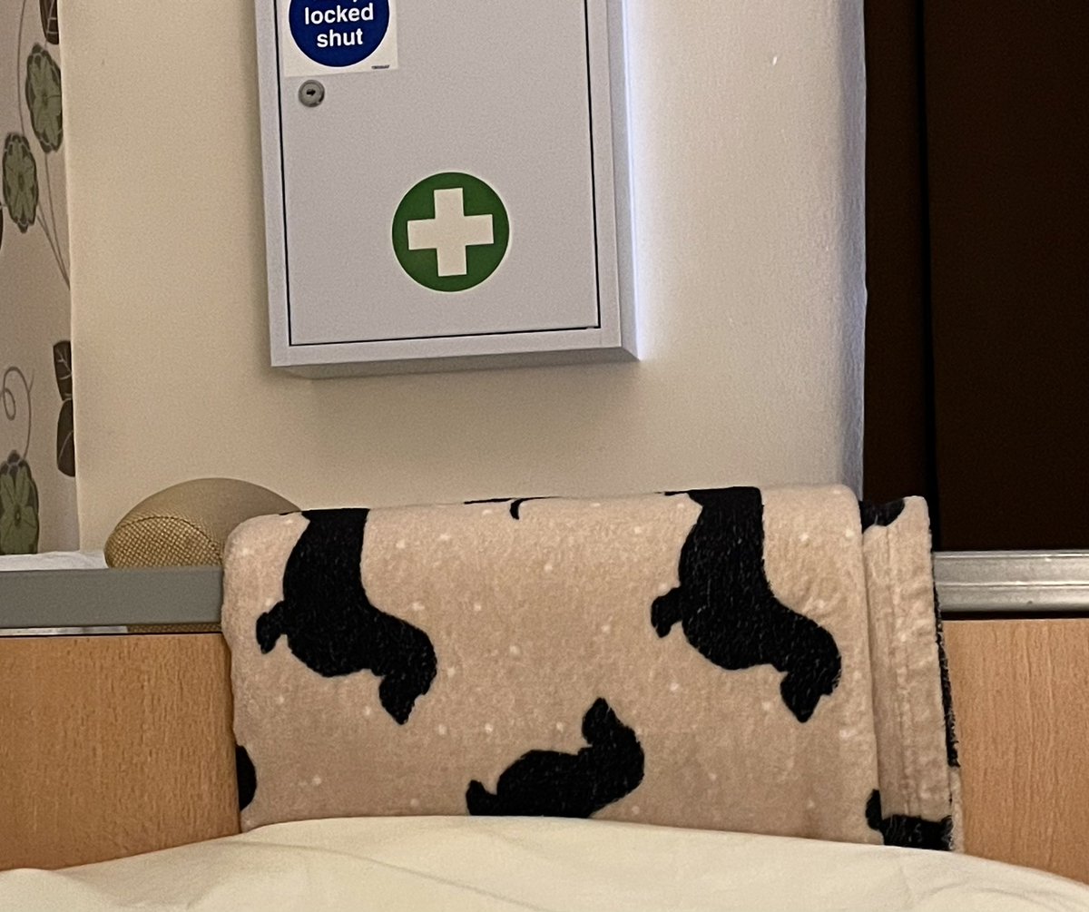 I asked for an extra blanket because I was cold the other night (heating still not fixed). I haven’t dared ask for a new bed or something to chew or I’ll probably get a basket and a rubber bone.
.