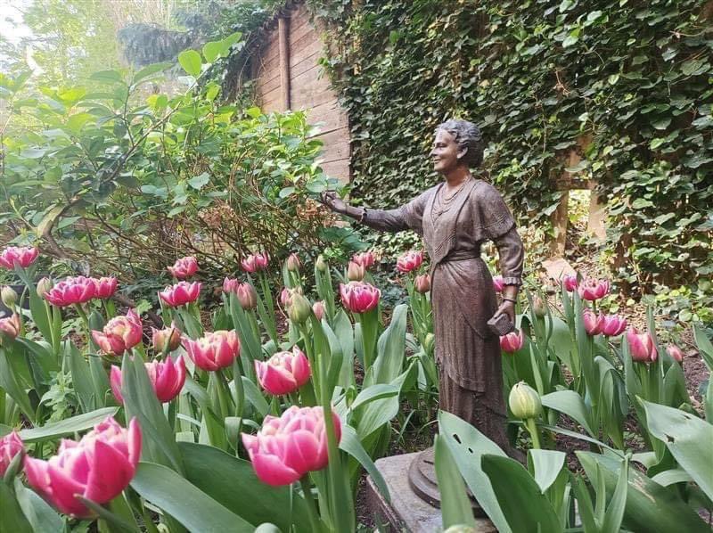 mca_paris03's tweet photo. The 'Maria Montessori' tulips from AMI's small garden. They were named Maria Montessori to celebrate her 150th birthday
The tulips form a love circle around the tiny statue of Maria Montessori, which is a miniature replica of the largest statue made by Victor Gutierrez https://t.co/kZuVuHOxpQ